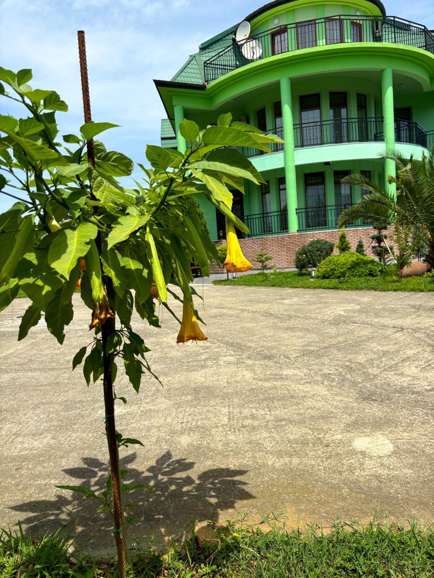 Villa Qero บาทูมิ ภายนอก รูปภาพ